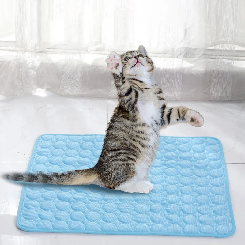 Pet Ice Mats Summer Cat Dog So - đánh giá và giá Cooling Blanket Hot Sleepers